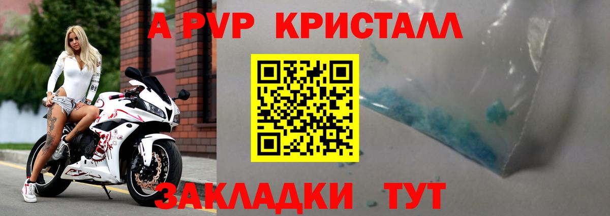 А ПВП крисы CK  Вход с VPN  Петропавловск-Камчатский  Alfa_PVP СК КРИС  A PVP СК КРИС 