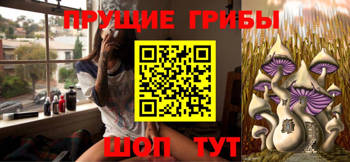 Петропавловск-Камчатский  Псилоцибиновые грибы GOLDEN TEACHER  Галлюциногенные грибы мухоморы  сколько стоит  Вход с VPN 
